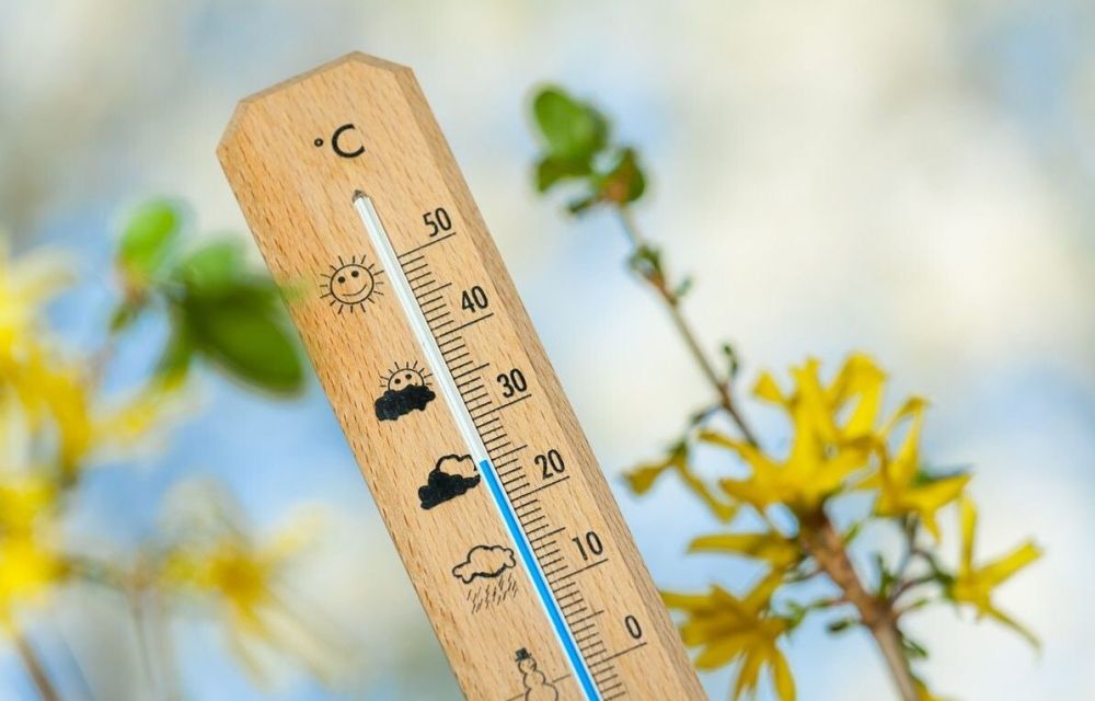 � ��� ����������� ������������ ���� ��������� � ���������� �������