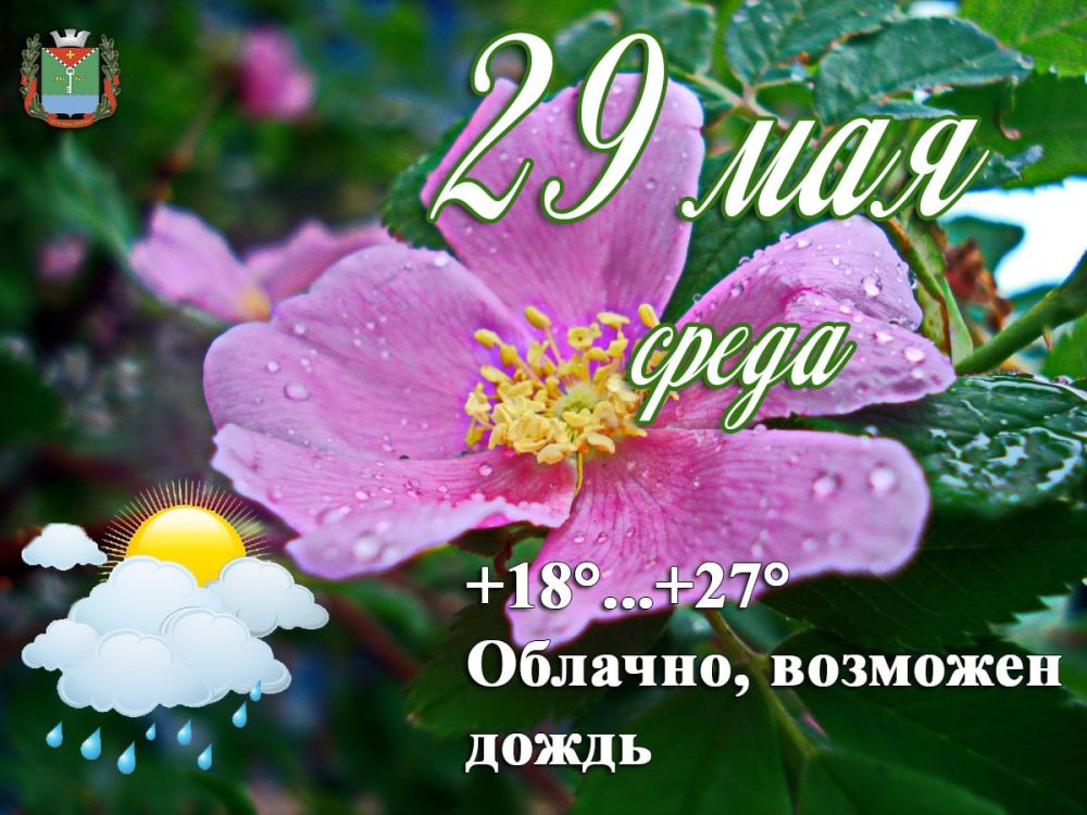 ��� ��� ��������:. 29 ��� � ��� ��������� ����� � ������ ����� 15-18 �/�