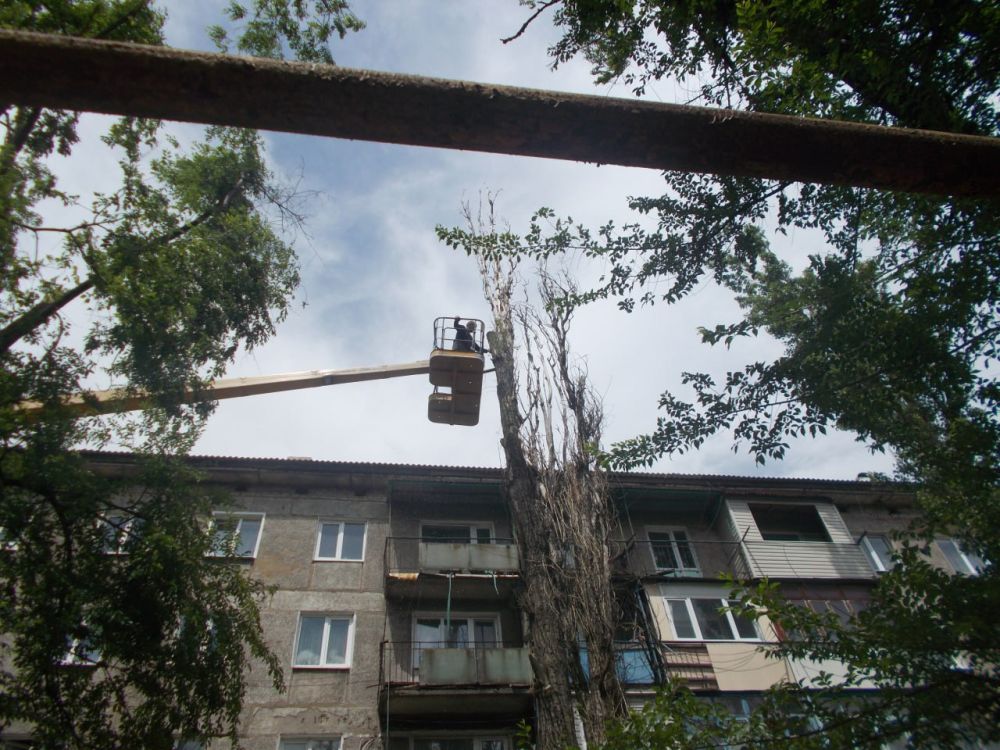 Работниками МУП «ЖРУ №6» города Углегорска 29 мая выполнялись работы: