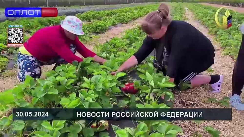 � ��� ������� ���� ������ ��������