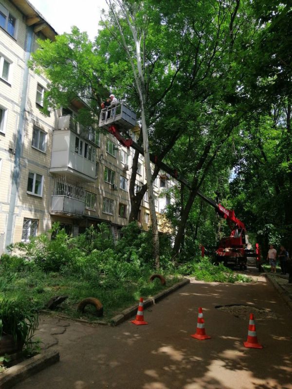 Василий Ткачук: Сегодня силами МУП АГД "Управляющая компания Калининского района г. онецка" проводились работы по кронированию деревьев на придомовой территории дома № 60 по бульвару Шевченко