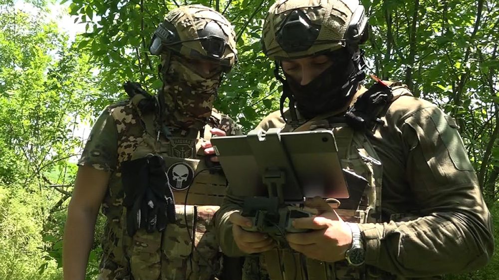 ������� ������������ �� ������� 30 ��� 2024: ������ ������-����������