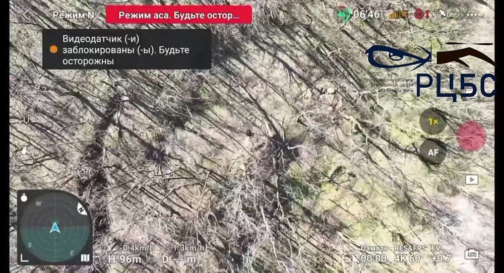 ����� ������� �����! � �����, ����� ��� ������ �������� ��� ���������