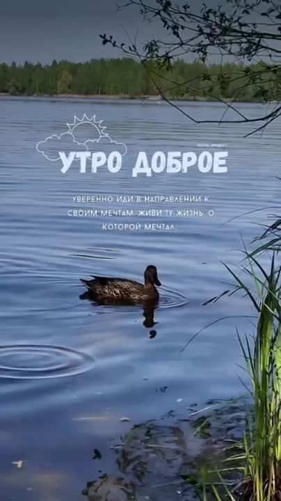 ������ �������!. ����������� ���� �������������