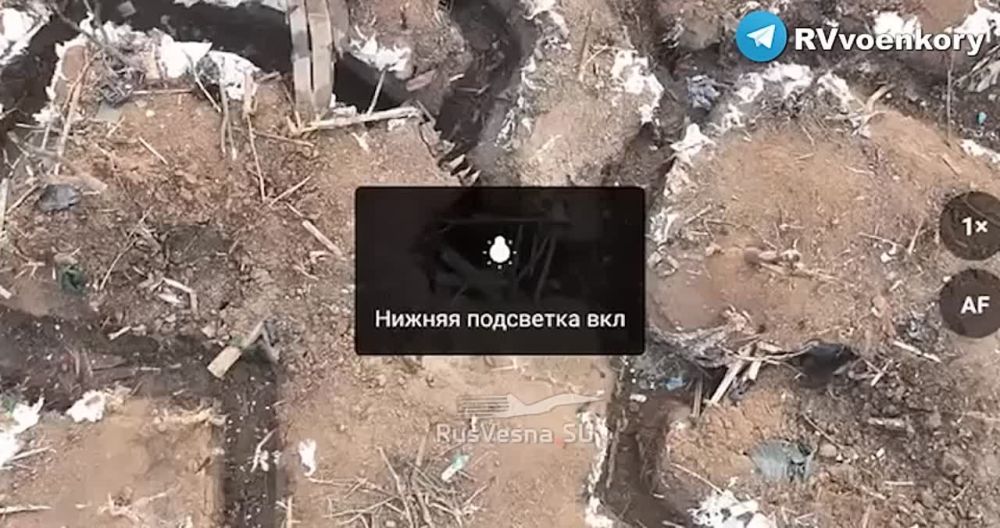 ����� ������ ������ ��� �� ������� ����� ���������������: ������� ������� �������� � ���������� ������ ���, ����������� �����