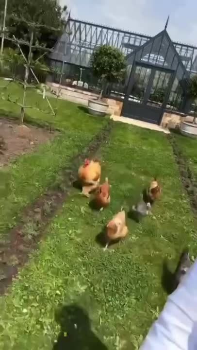 � �� ������, ���? ������ ��� ����!!!