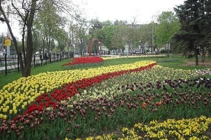 ����� 270 ��������� ������ �������� �� ��������������� ������������ ���� � ���