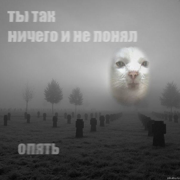 ������� ������: ���� "�����������" ����-2023 ����� ������� "������� ������", �� �������� ������� ������������ - "����� �� �����", ��������� ��������� ����������� ����