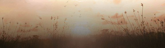 ������� �������: ������ �� ��������� �� 2 ���� 2024 ����