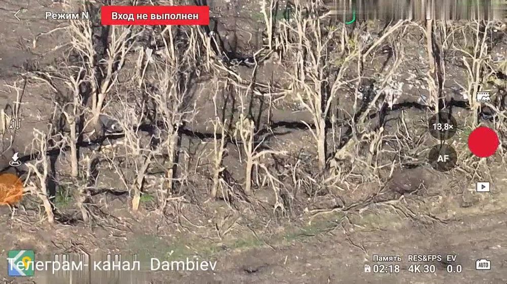 ������ �������: �������� �� ������� "����������" ������ �� �������� �� ����-�������� �����������