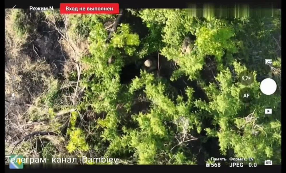 ������ �������: ����������� �������� � ������� �������������� ������ ���������� ������ �� ���������� �����������