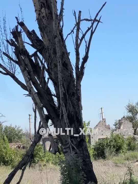 ��������� �������: ������ ���������� ������� �� �������� ���������� �� �����-������ �����������