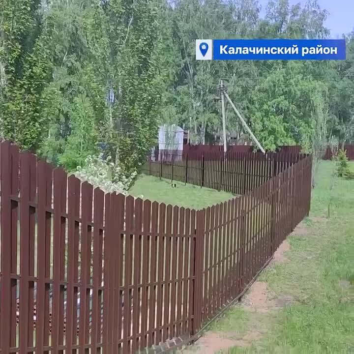 ������� �������: ������ ����� ����� ������ � �������� ��� 12 ����