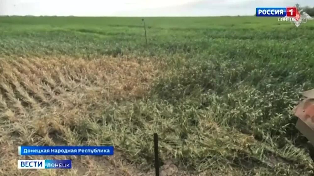 ������� �������� � �������