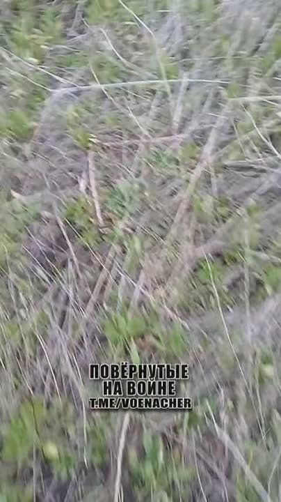 ����� �� ������� ����������