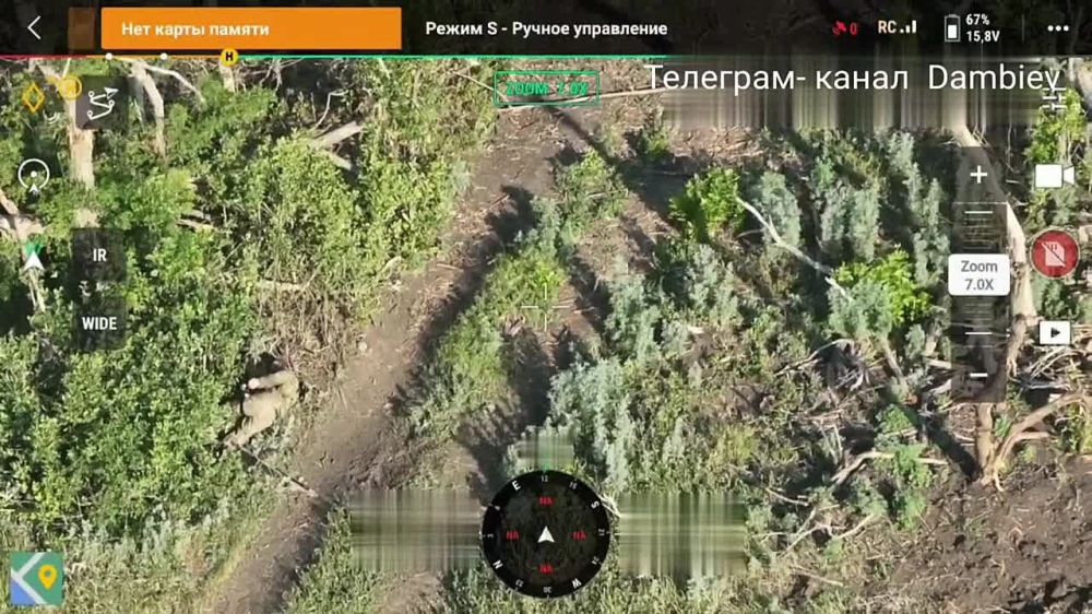 ������ �������: ������� ������ �������� "���������" � ����