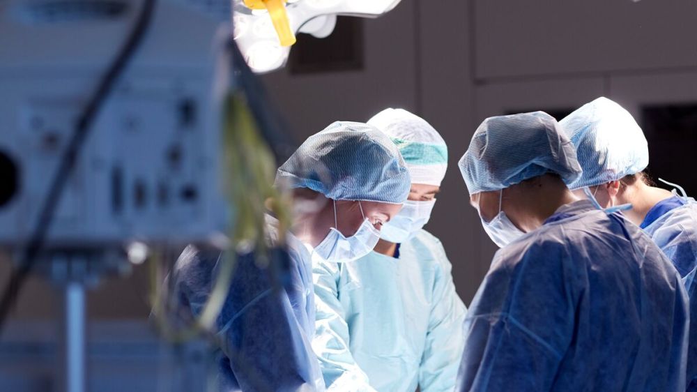 ������, ������ � ��������: ������ ������ � ������� ��������