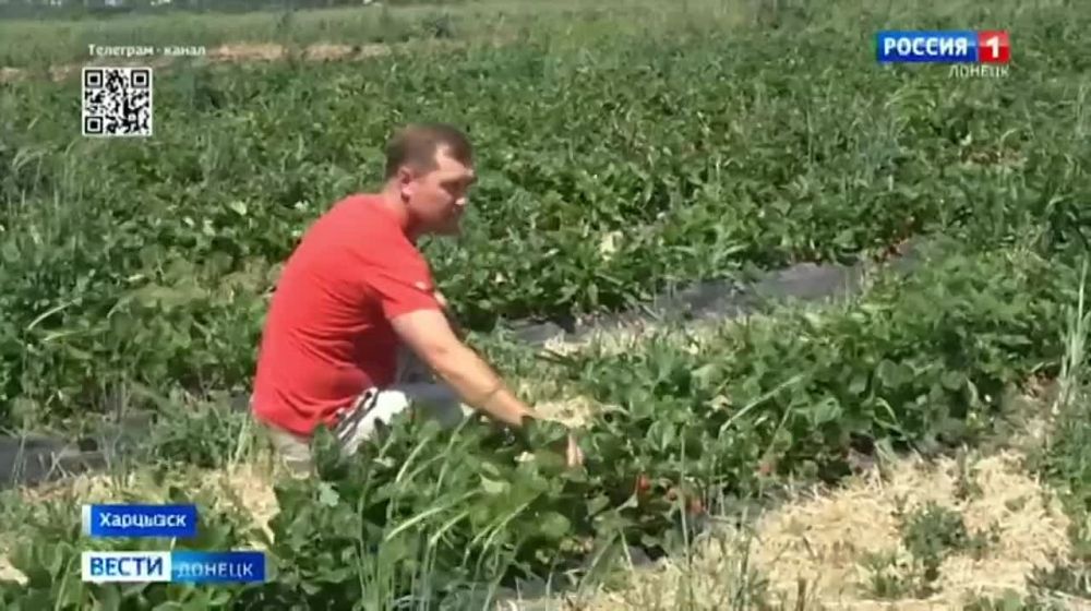 ����� ����������: �������� �� ������� �������� �������, ������� ��������� �� ���������� ������ �������, ������ �������������������� ���������� � ����� ������ �������� � �������