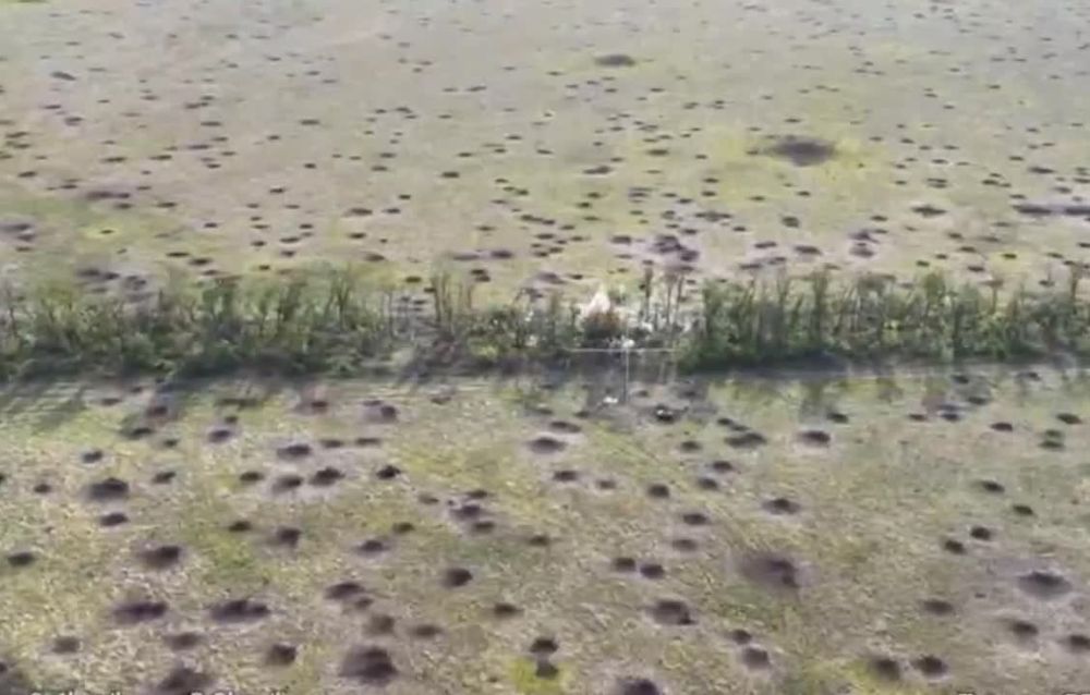 ������ �������: �������� ���������� ������� ���������� �� ���������� �����������