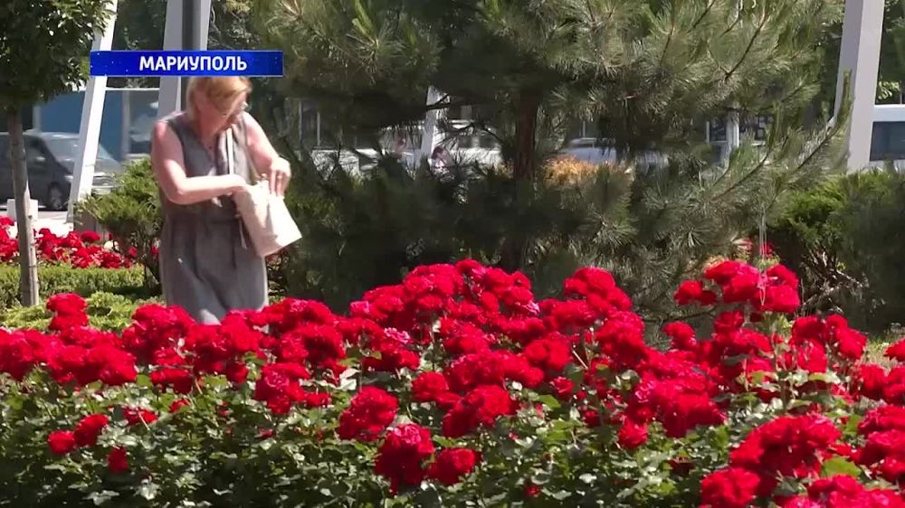 �������� �������������� ����� ������������ #�������� �������� �������� ���� ������������