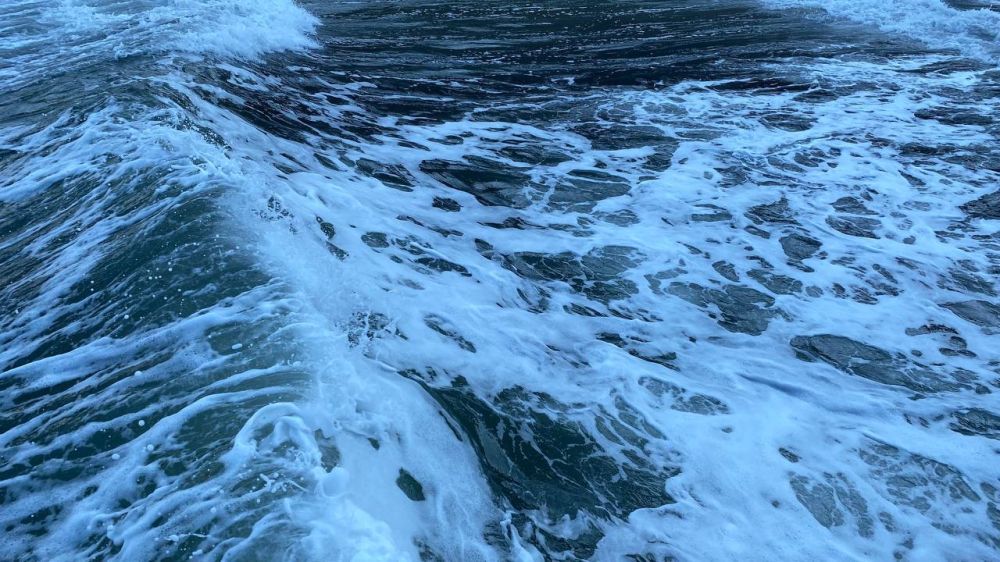 ���������� ����������� ����� � ����������� ������� ������������