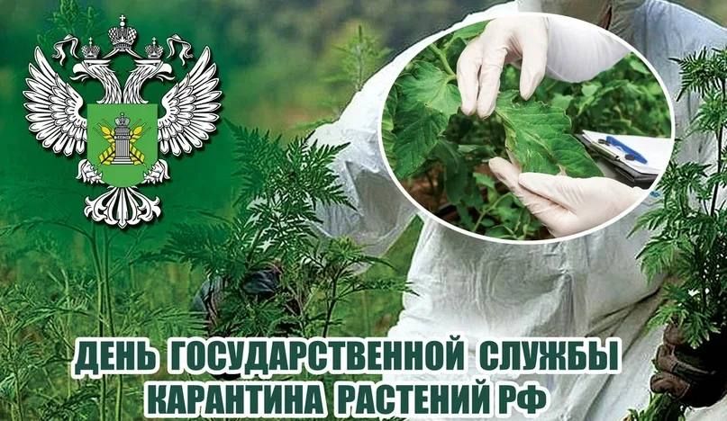� �������� ������������ �������� ������� ��������, ������������� ������������� ���������, ���������� ������������� ��������� ������ ����������� ��������������� ������������ ����� ����� ������ �������� ��� ����������������� ������������ ������