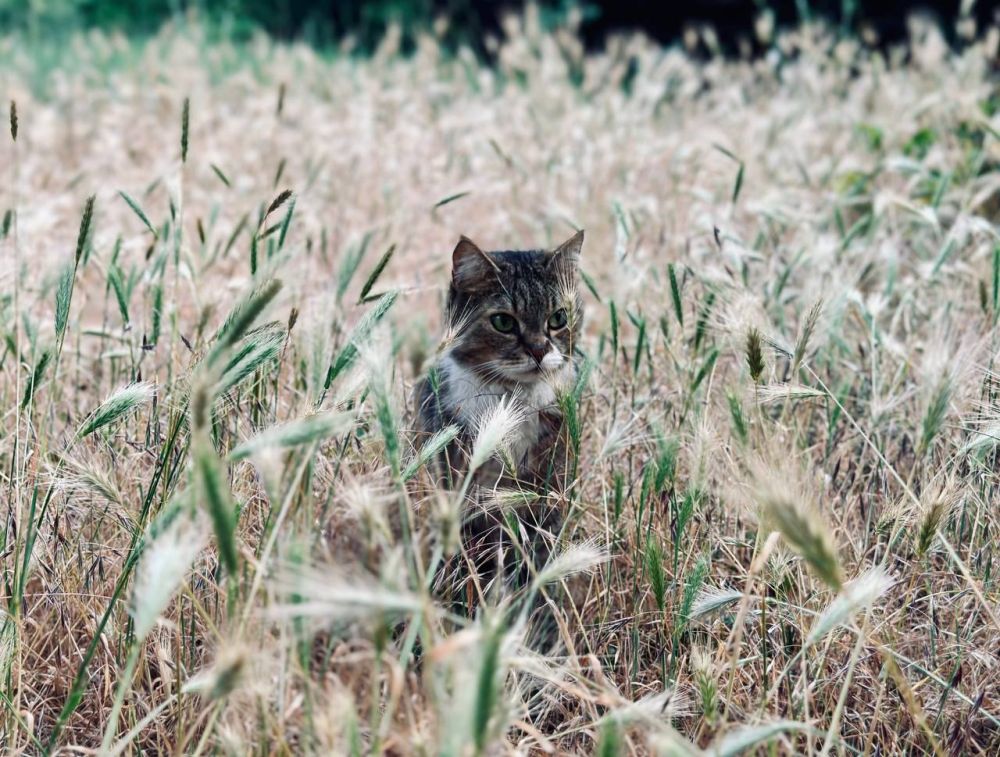 ����� ����������: � ��� ������������ �������� ������ ���, ����� ��������� ����� � ����������