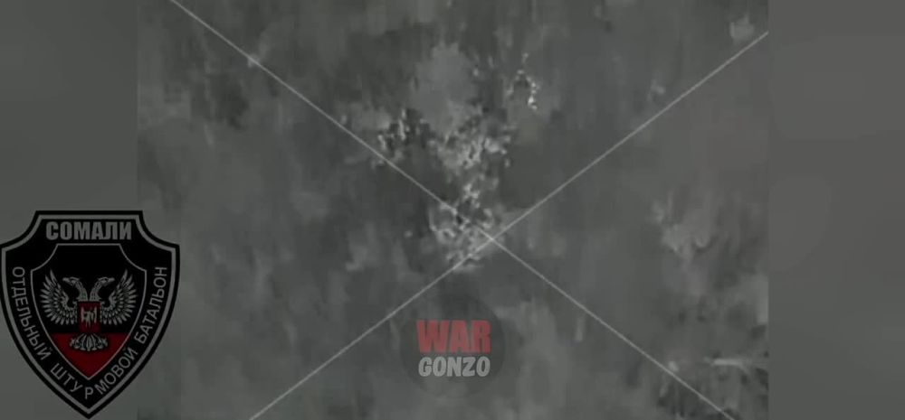 WarGonzo: ���������������� ������� ���������� ������ ������ ���