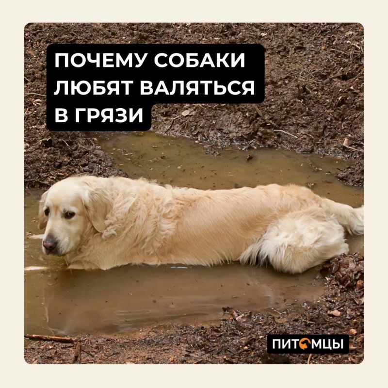 ��������� ������� � ������� ������������� ���� ����� ���������, ����� ���������� ���
