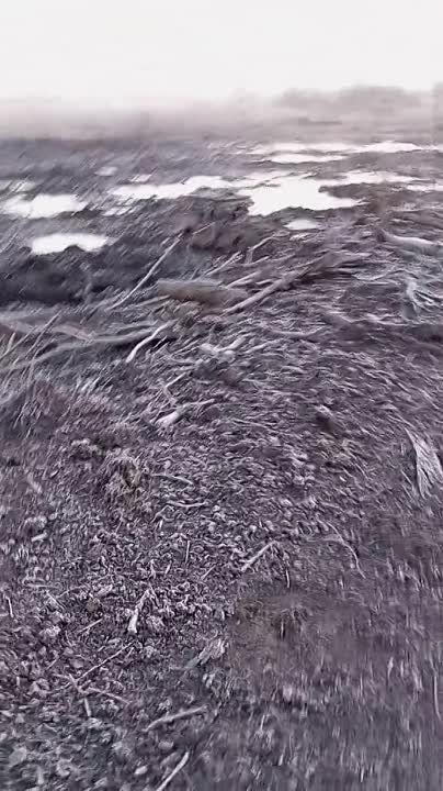 Борис Рожин: Конвейер "выпиливания" бронетехники западного производства на Южно-Донецком направлении