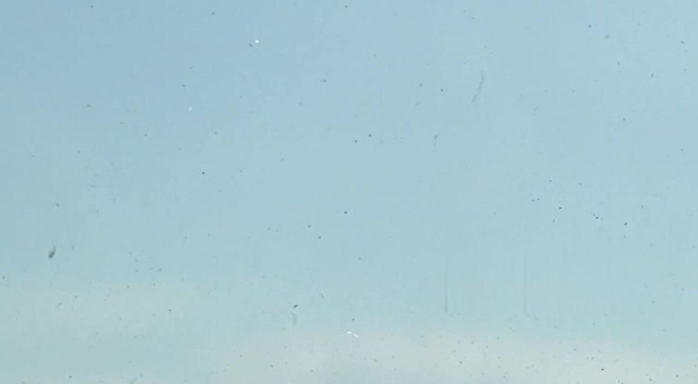 ������ �������: ������. ������ ���