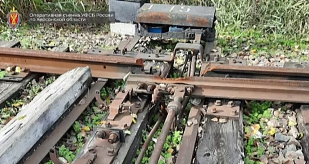 ��� � ��������� ���������� � 6,5 ����� ������ ������������ �������� �� ���������� ��������� ���� �������� �������� ������, �������� ����������� � ��� ��