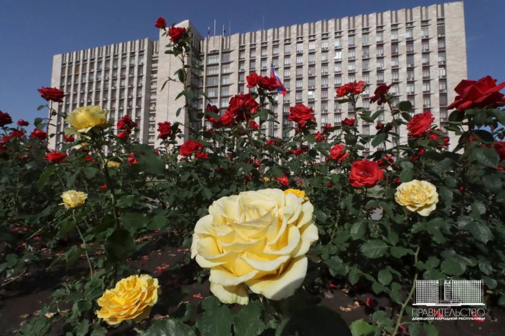 ������� �������: ��� ��������, �� ������������ ��������� ������������� ������� ������� ��������� ������ �������