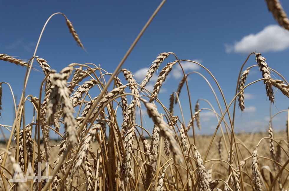 ���������� �������, ������ ����� ������� ����� ������������ ������ ��-�� ���������� � ������