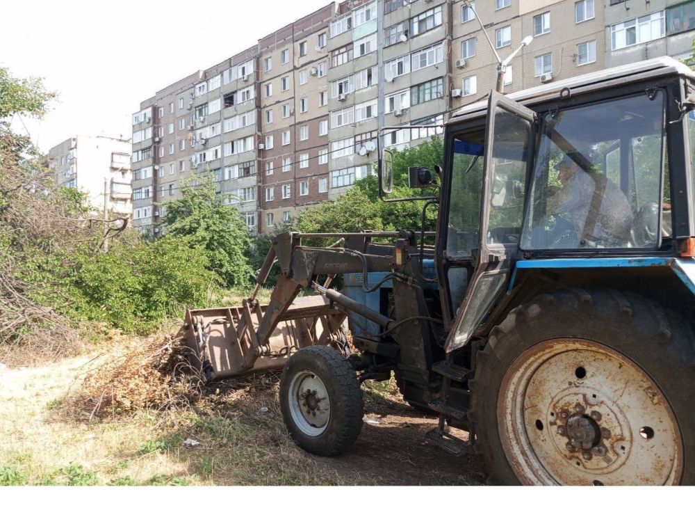 06.06.2024�.. �������� � ����� �����