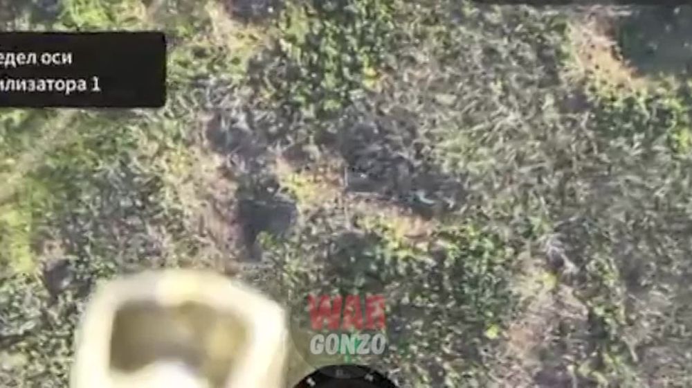 WarGonzo: ���������� 1-�� �� ���������� ������� ��� ��� ���������