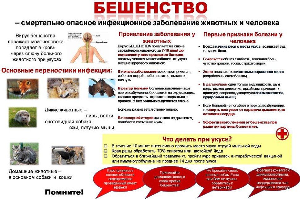 ���� ������: ������� ��� ����������� ��������� ��� ��������� � ��������� � ������������ ���������