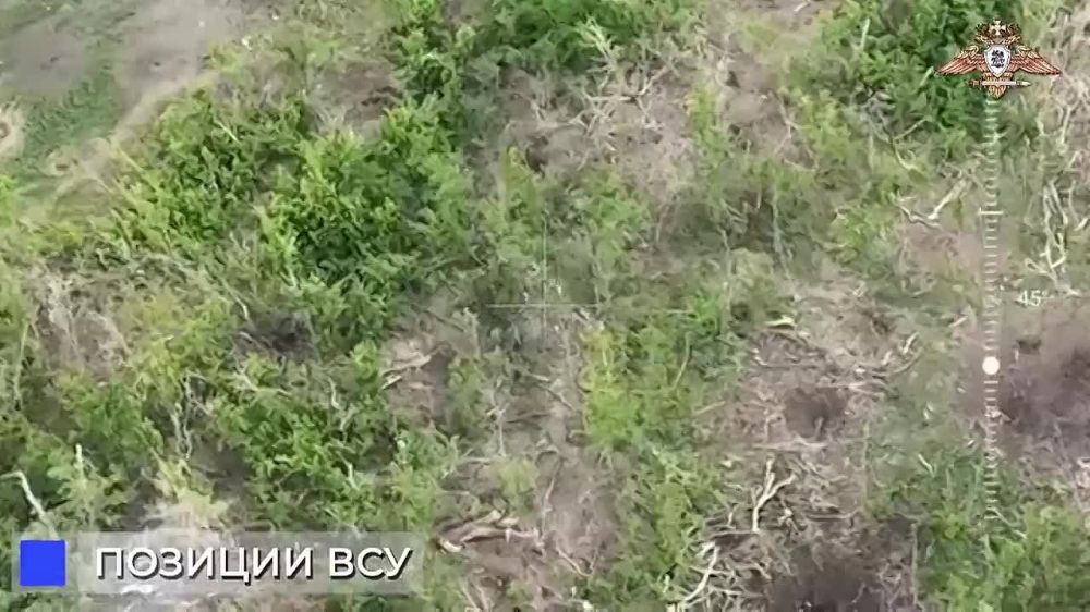 ����� ������������ � �������� ������: 39-� ������� ���������� ������ ��� � ��������