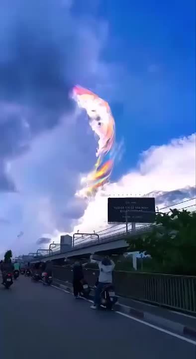 ��� ������� ������� �� �������� �������� ����������� �������������� ����������� ������