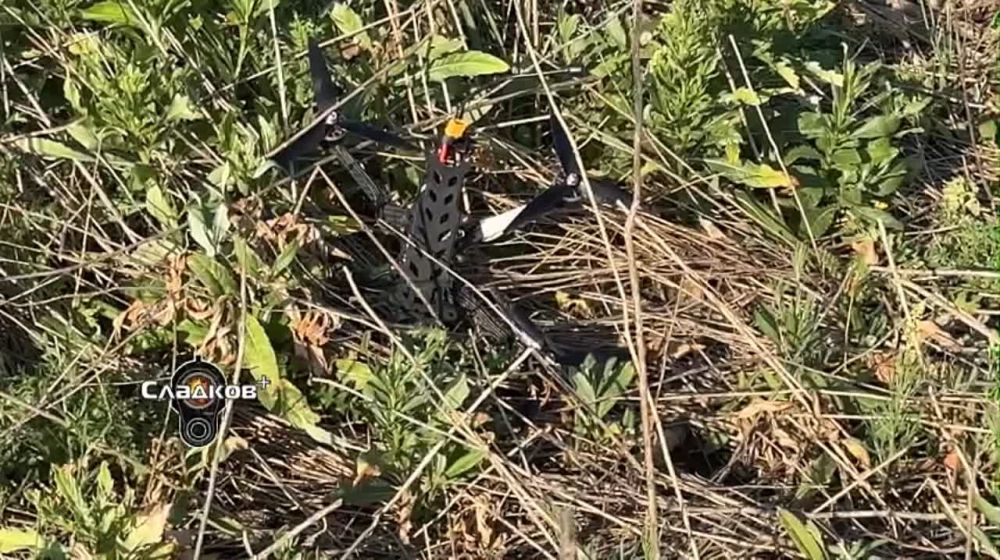 ��������� �������: ��� ��� �������� ����� �����-��������� ������� ����