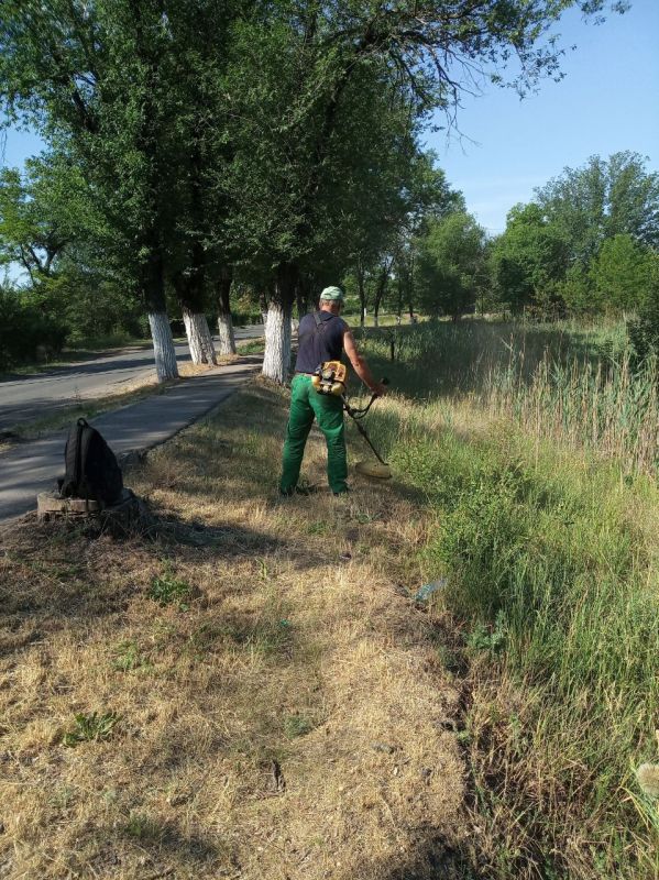 ���� �����������: ������ ������������ ����������� ���� ��������� ������ �� ��������� ������� � ������� �� ���������� �. ������: