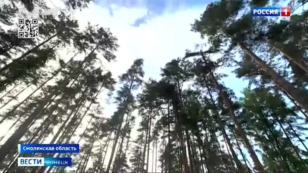 � ���������� ������� ��������� ������ ���� ������