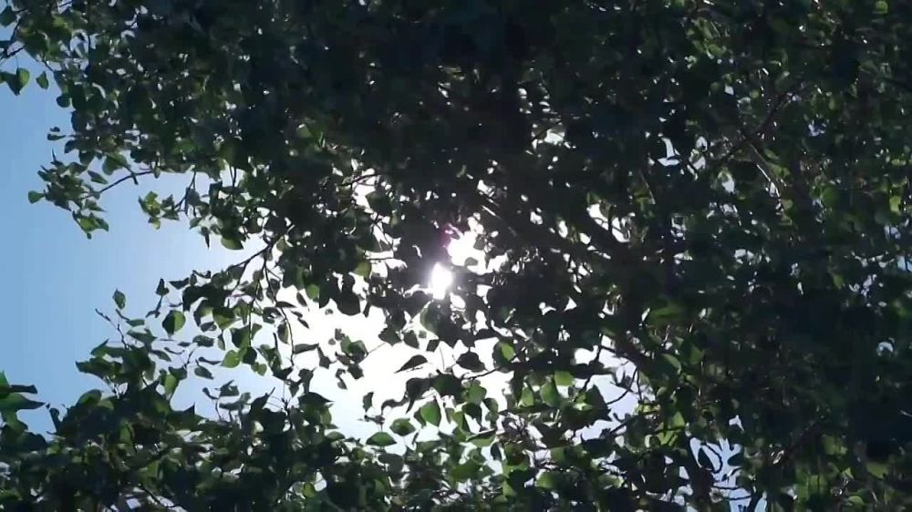 ����� ����������: � ���� ����������� �������!