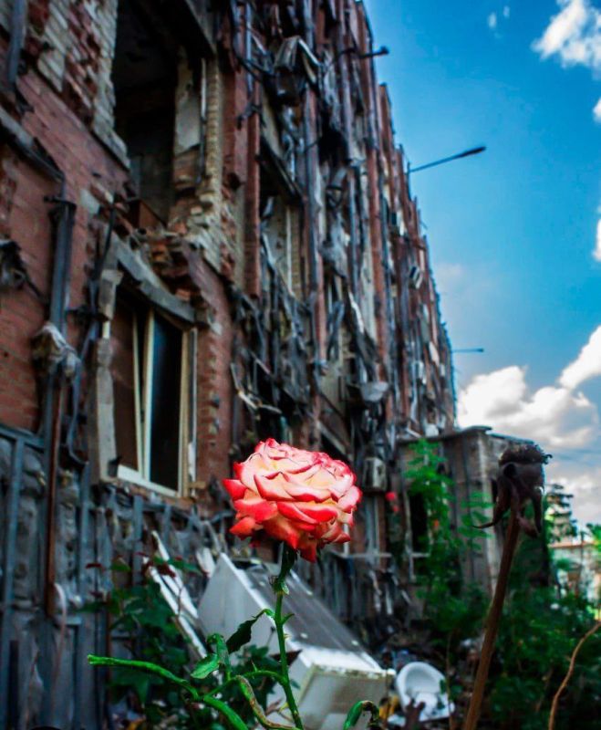 �������� ����������: ����� ���� ���. ����� ���������� � ��������� ������ ���� ������� ���� ��������� ������ ��, ����� ����� �� ��������� ��� ������, � ����� ����������� �������� ��� ������� ���������