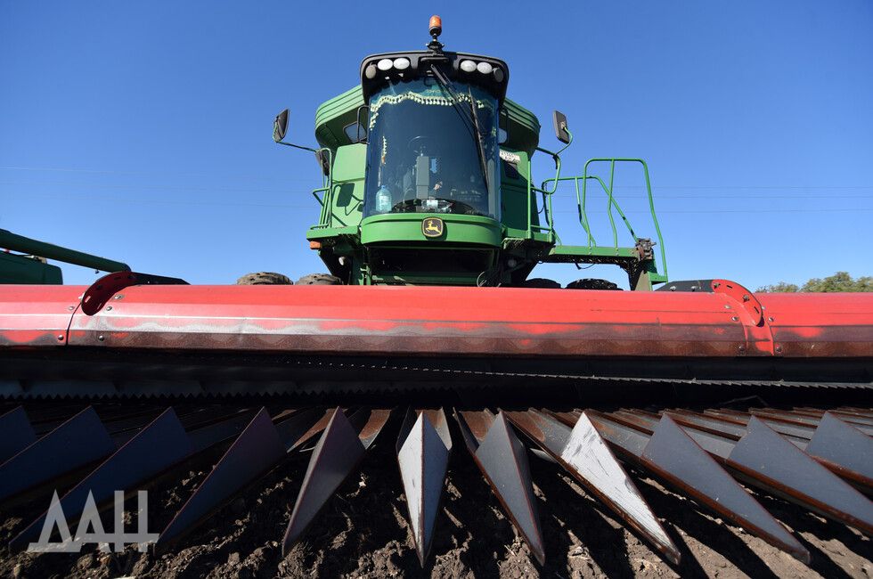 ����� 5 ���. ������ ������� ������������� ��� ������ ������ � ���