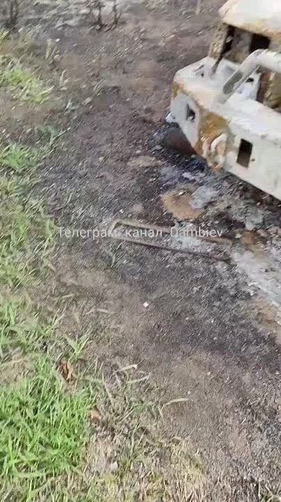 ������ �������: ������������ ������������ ����������� ��������� �� ����-�������� �����������