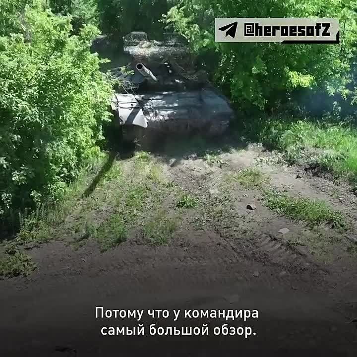 ������� ������ ��������� � �� ���� ���������� ����������, ���� ������ ������� �� �������