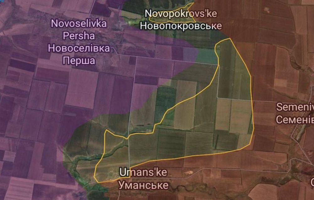 ���� ��������: ����� ������� ������ ��������������� �� ���������� �����������