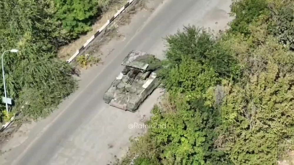 ������ ��������: ������ ���� "����������" �� �������� �����������