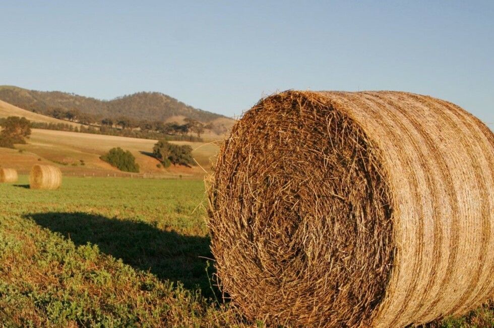 ������ ���������� ������� ������� �������� ������ � ���� ������